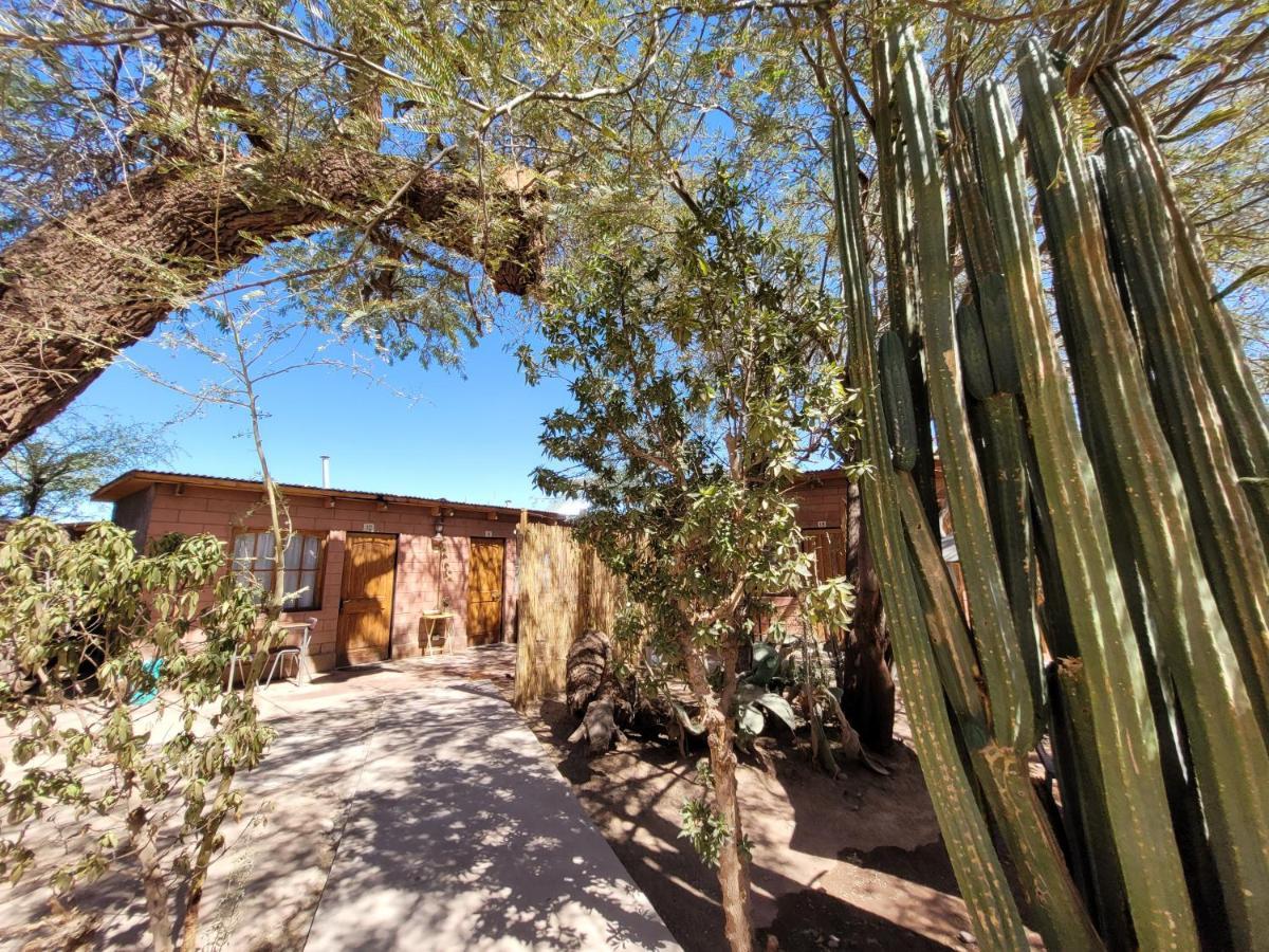 Hostal Katarpe San Pedro de Atacama Dış mekan fotoğraf