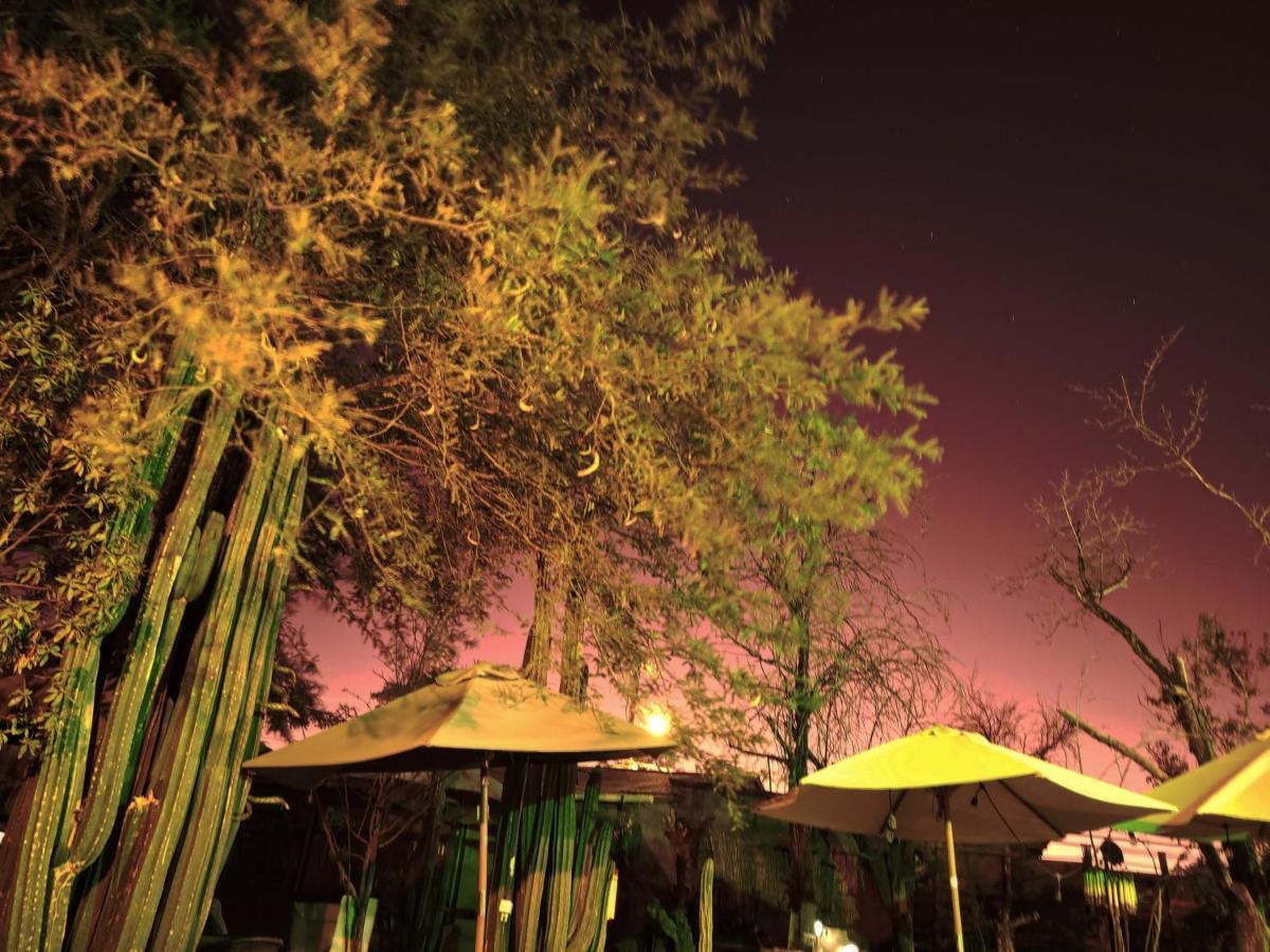 Hostal Katarpe San Pedro de Atacama Dış mekan fotoğraf