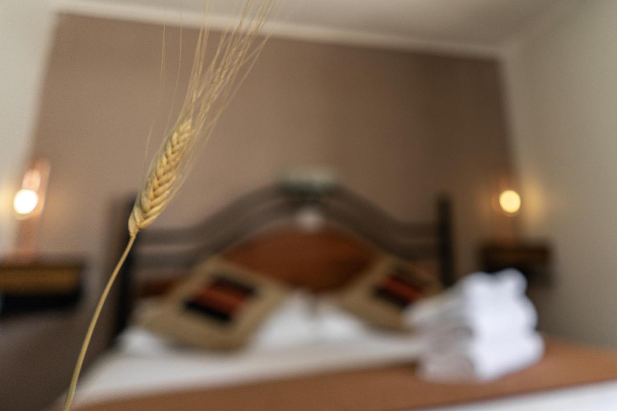 Hostal Katarpe San Pedro de Atacama Dış mekan fotoğraf
